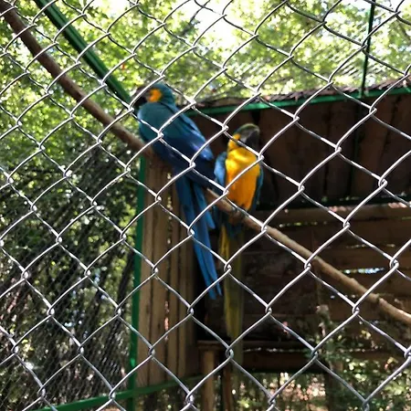 Lois Met Airco Wifi En Zwembad