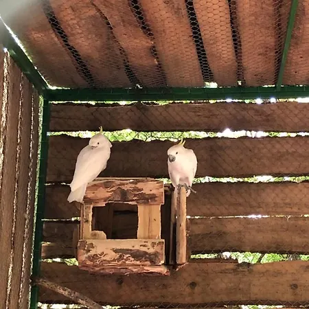 아파트 Lois Met Airco Wifi En Zwembad *