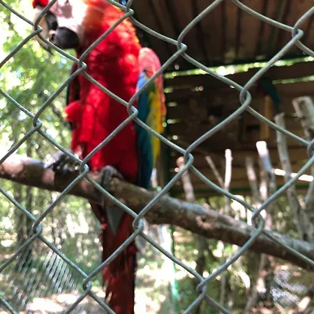 Lois Met Airco Wifi En Zwembad 아파트