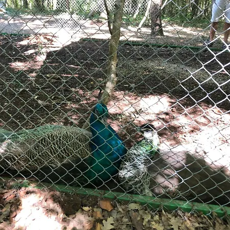 아파트 Lois Met Airco Wifi En Zwembad *