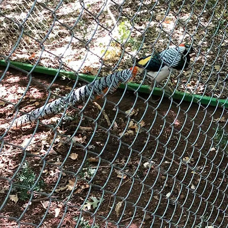 Lois Met Airco Wifi En Zwembad