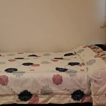 Lois Met Airco Wifi En Zwembad Novigrad Istria