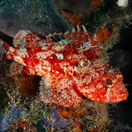 아파트 Lois Met Airco Wifi En Zwembad *