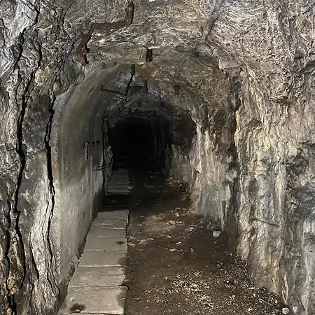 Lois Met Airco Wifi En Zwembad Novigrad Istria